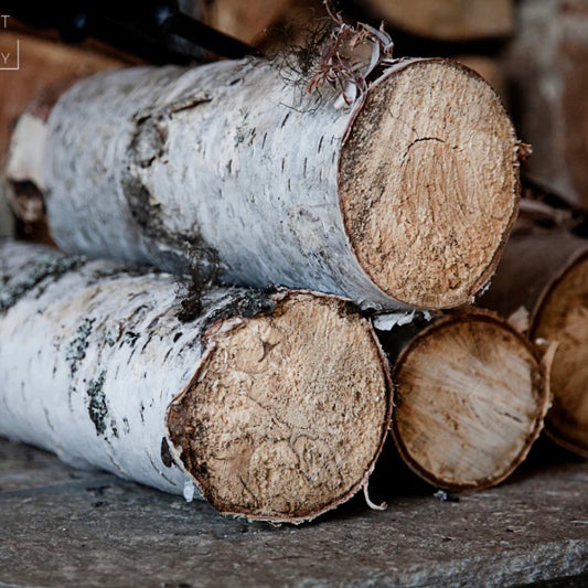 Cracklin Birch | Snap Bar